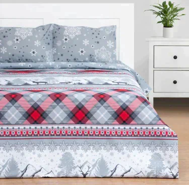 Постельное бельё Этель Евро Snow time 200х217см,220х240см,50х70см-2 шт