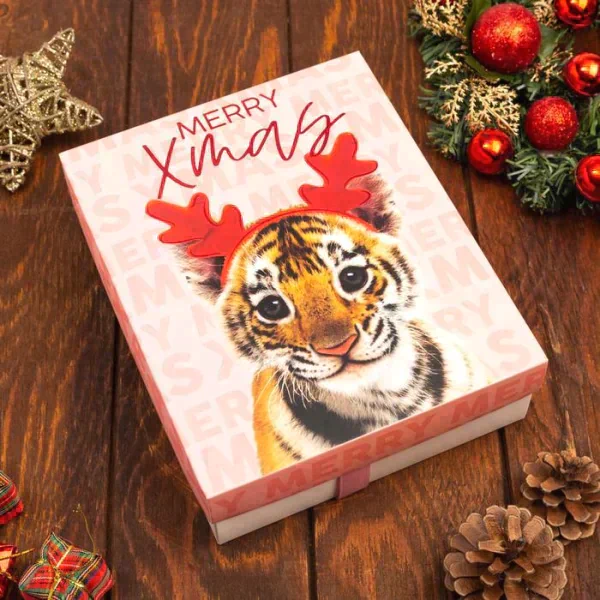 Новогодние полотенца (подарочный набор 5 шт.) Этель Merry Xmas 30х30 см -5шт, 100% хл, 340гр/м2