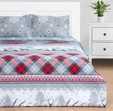 Постельное бельё Этель 2 сп Snow time 175х215см,200х220см,50х70см-2 шт