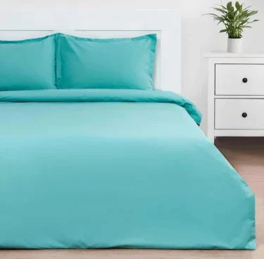 Постельное белье Этель 2 сп Mint morning 175*215 см, 200*220 см, 50*70+3 см-2 шт