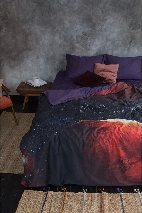 Постельное бельё "Этель" 1.5 сп Red planet 143*215см, 160*240 см, 50*70 см - 2 шт